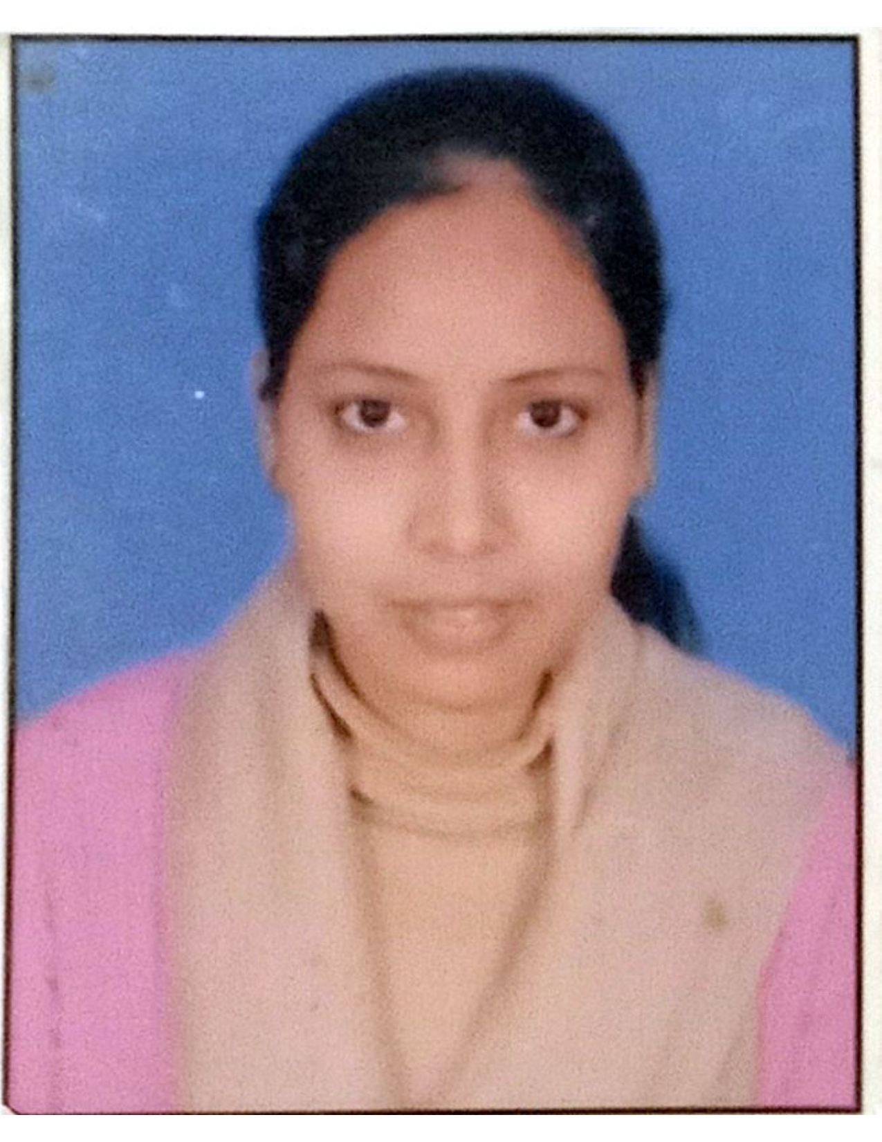 Faculty Profile